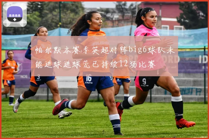 帕尔默本赛季英超对阵big6球队未能进球进球荒已持续12场比赛